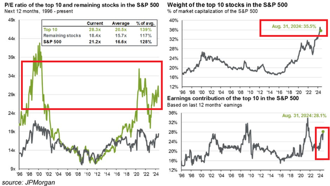 Valuation Weight Earnings Contribution Top 10 S&P 500