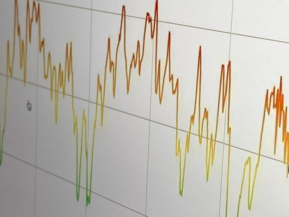 Investor Sentiment: Central Banks in Focus