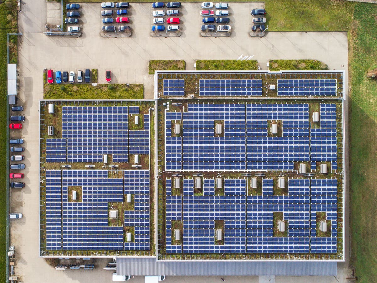 Green electricity is the new oil
