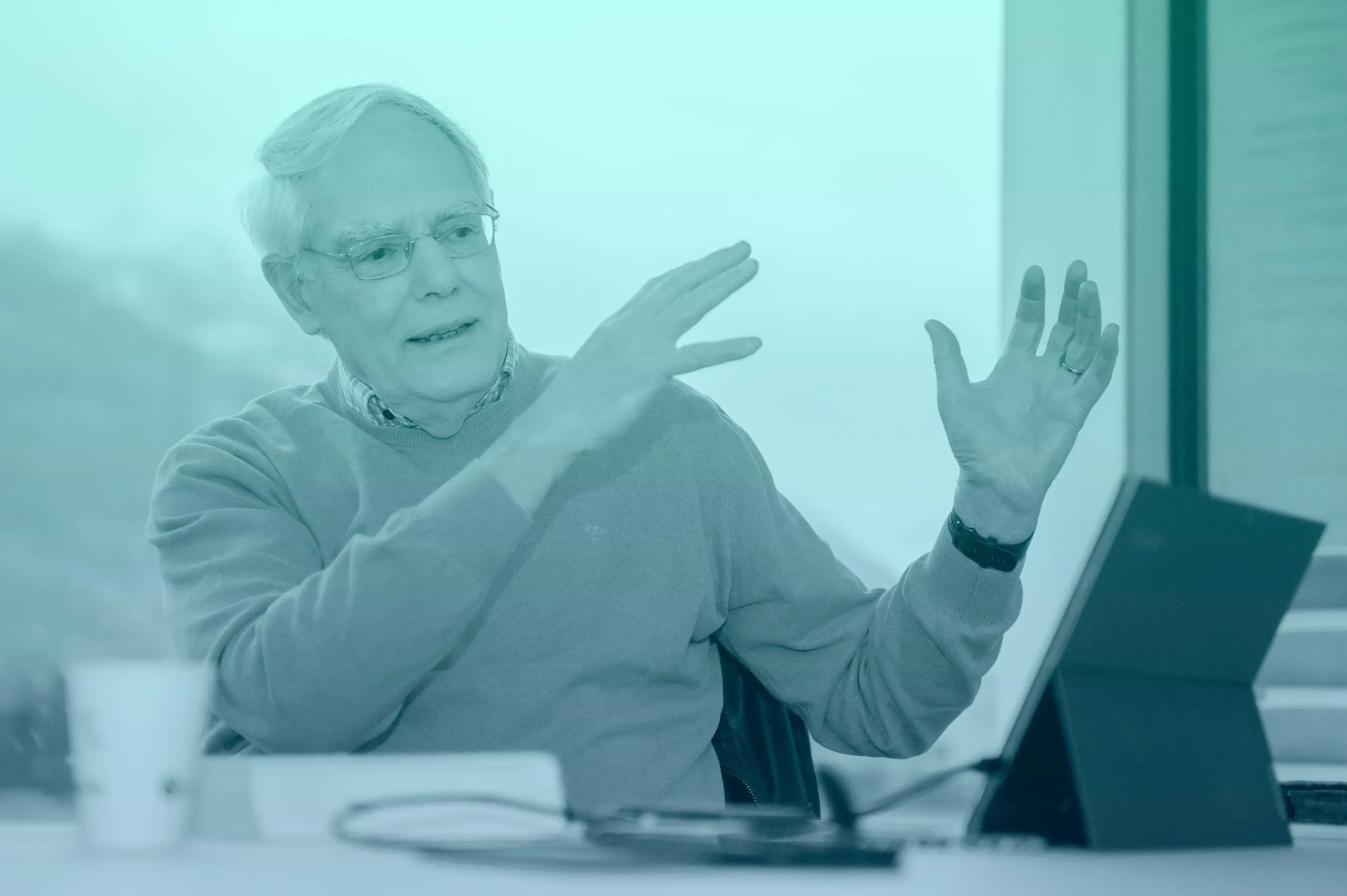 Can the CLI strategy predict the stock market crash?