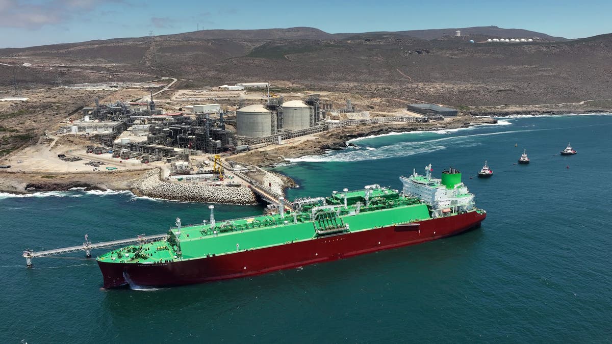 Energy, banks, industry: Profits are flowing and driving Europe's ...