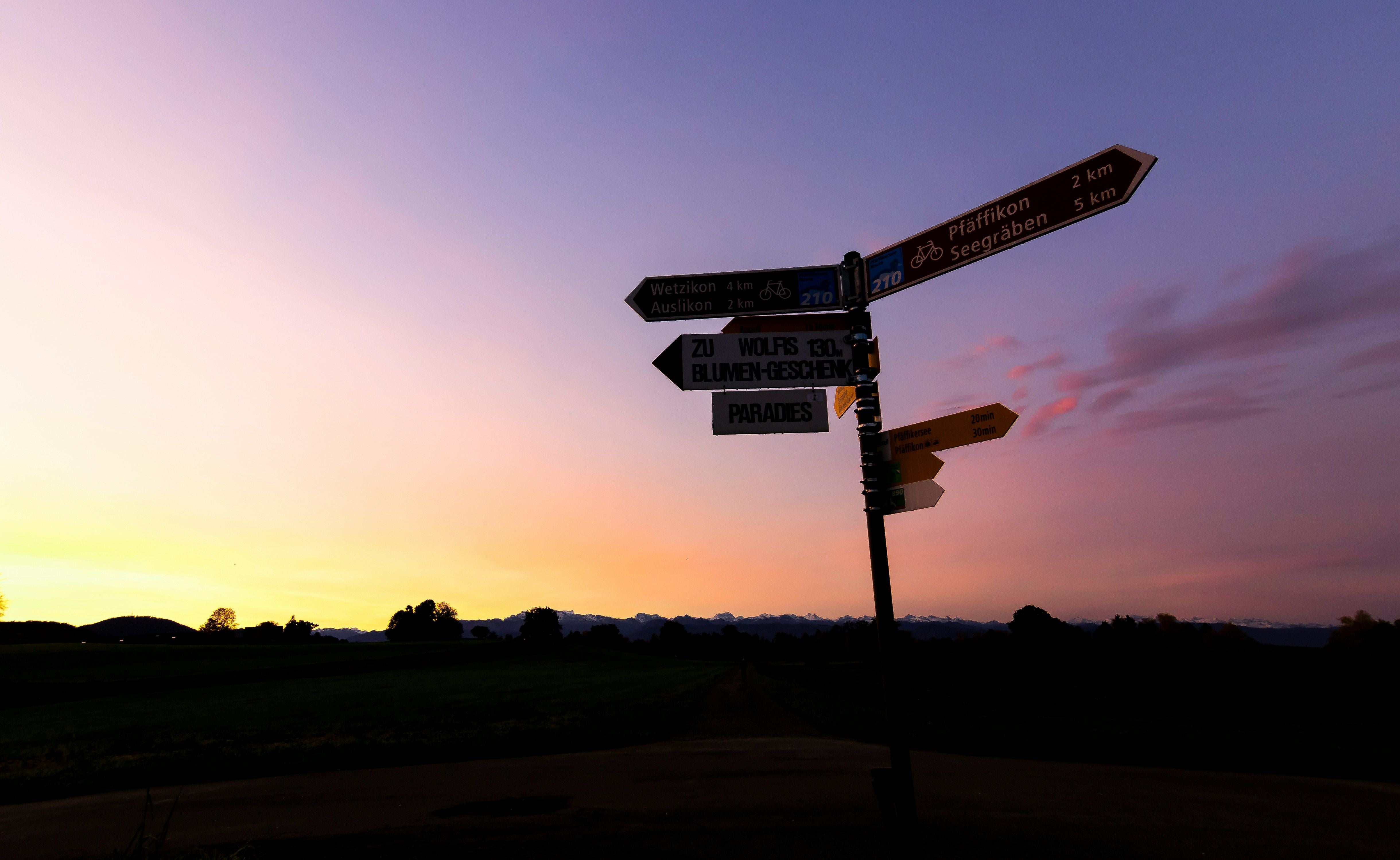Which stock markets offer potential - | and where caution is advised
