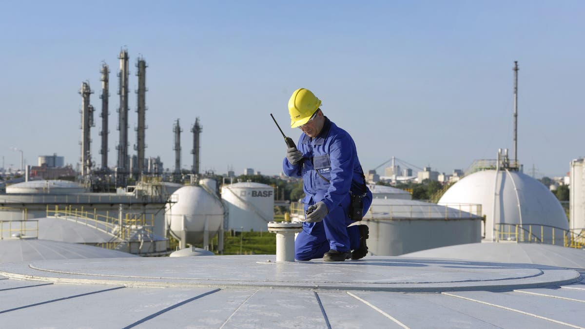 BASF makes a move for Evonik, defying the poor chemical industry