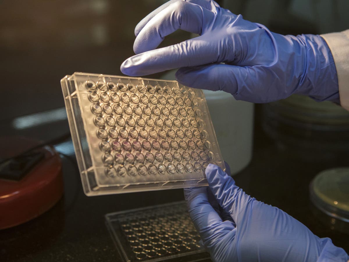 Covid-Wirkstoff von Relief zeigt bei den Todesfallraten keine Wirkung | The Market