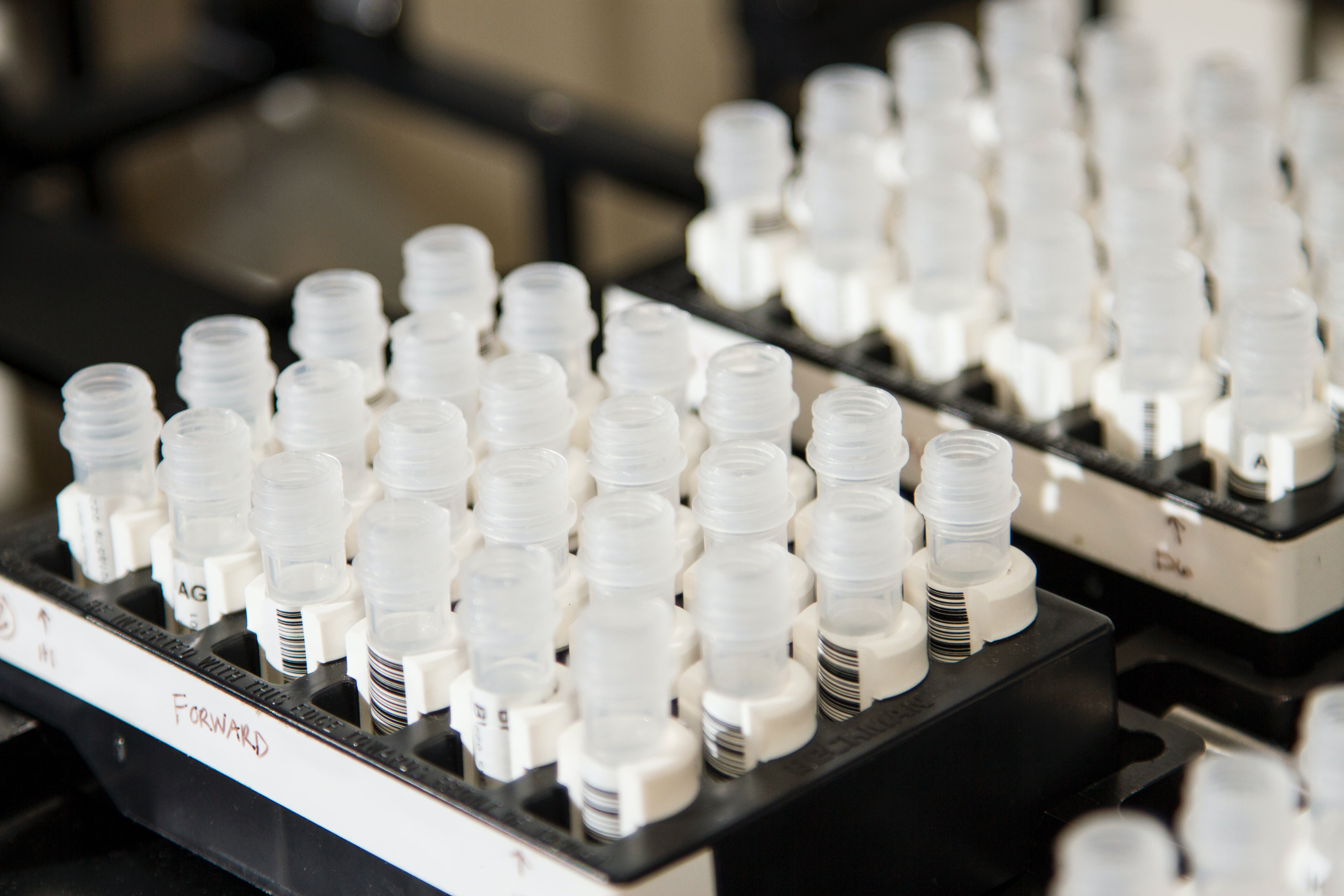 Molecular Partners steht vor spannenden Monaten | The Market