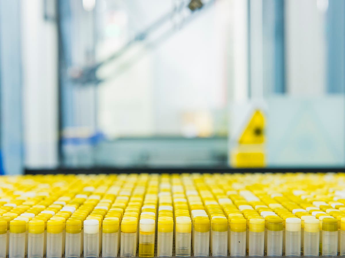 AstraZeneca sistiert Corona-Impfstoffstudie | The Market